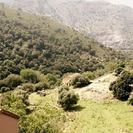 Appartement T2 Chez Thomas Et Nas Omessa Bagian luar foto