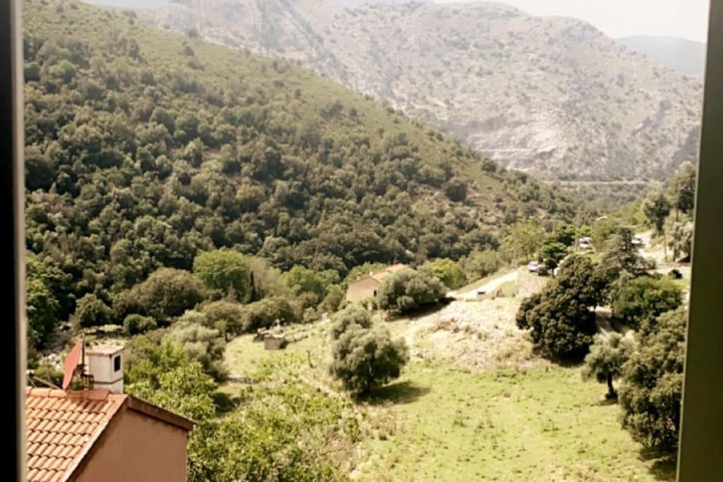 Appartement T2 Chez Thomas Et Nas Omessa Bagian luar foto