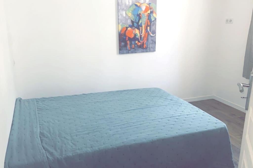 Appartement T2 Chez Thomas Et Nas Omessa Bagian luar foto