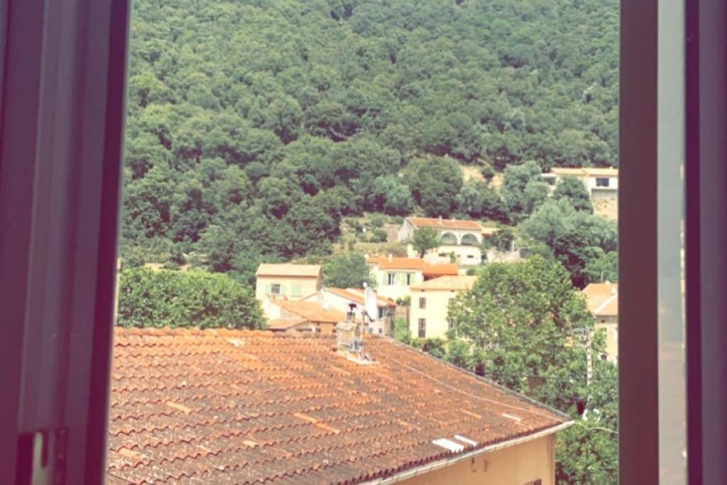 Appartement T2 Chez Thomas Et Nas Omessa Bagian luar foto